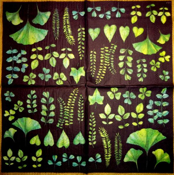 057 Plants - 3 ply